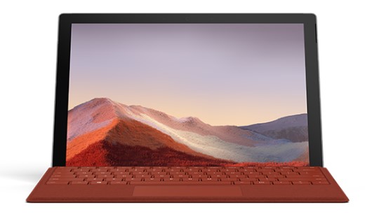 潘集清洁和维护 Surface